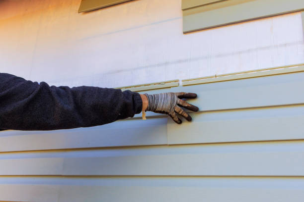 Best Custom Trim and Detailing for Siding  in Palm Springs, FL