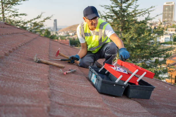 Best Brick Veneer Siding  in Palm Springs, FL